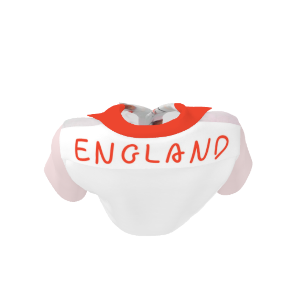 WC26 Collection England Unisex Revere Shirts
