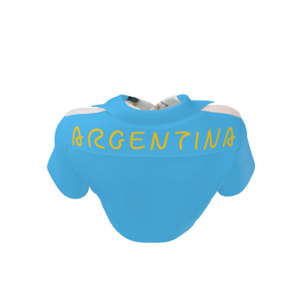 WC26 Collection Argentina Unisex Revere Shirts